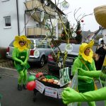 IGU-Faschingszug201525