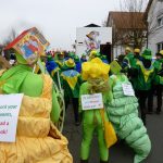 IGU-Faschingszug201526