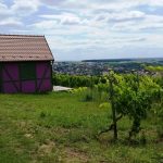 IGU-Stammtisch-21.07--1-