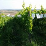 IGU-Stammtisch-21.07--2-