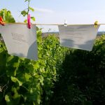 IGU-Stammtisch-21.07--3-