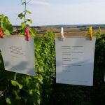 IGU-Stammtisch-21.07--4-