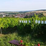 IGU-Stammtisch-21.07--6-