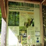 Klausur 2019