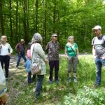 Klausur 2019